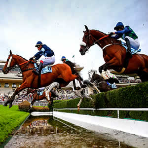 Steeple-Chase - Clairefontaine (R1) - Course 8